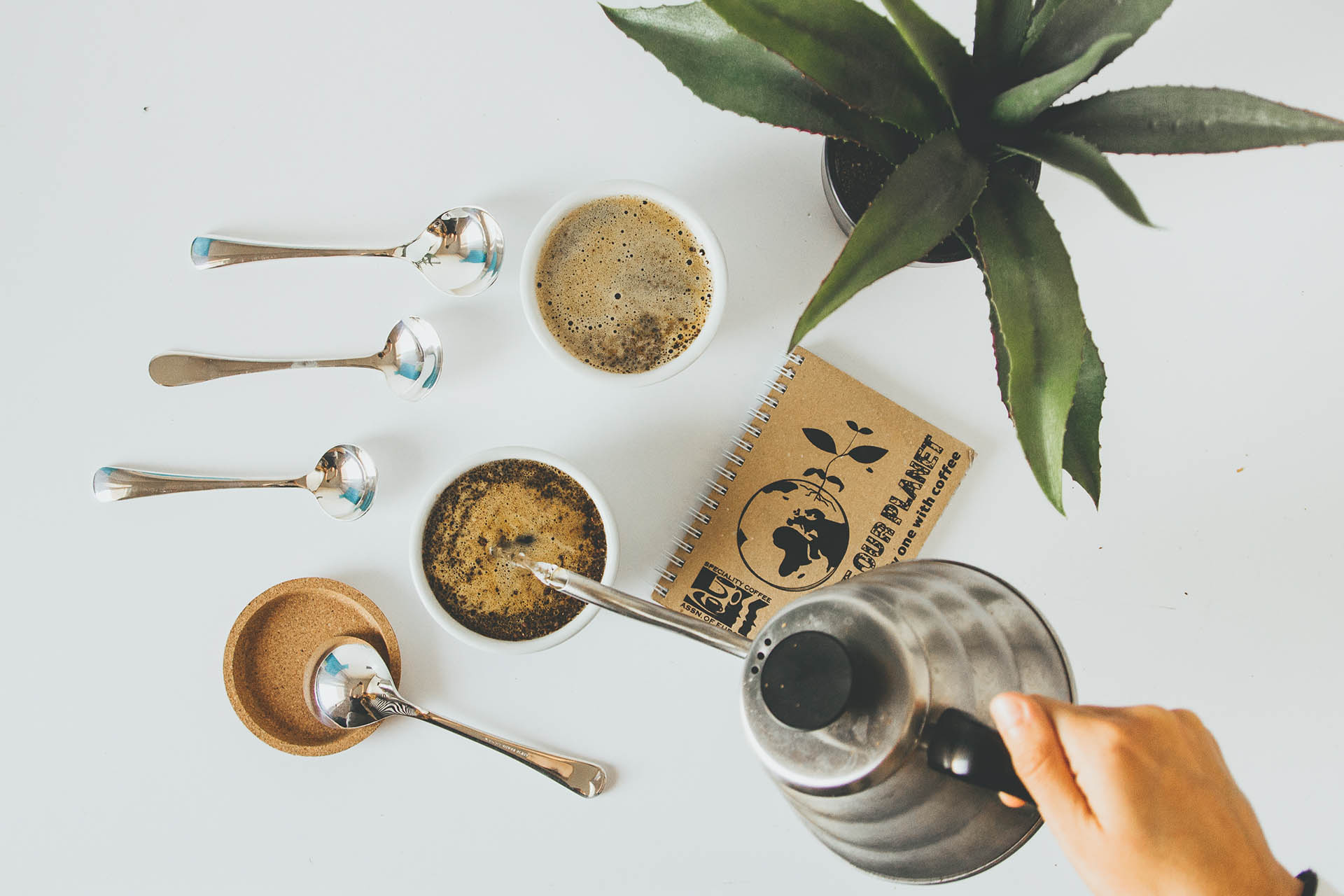 temperatura parzenia kawy