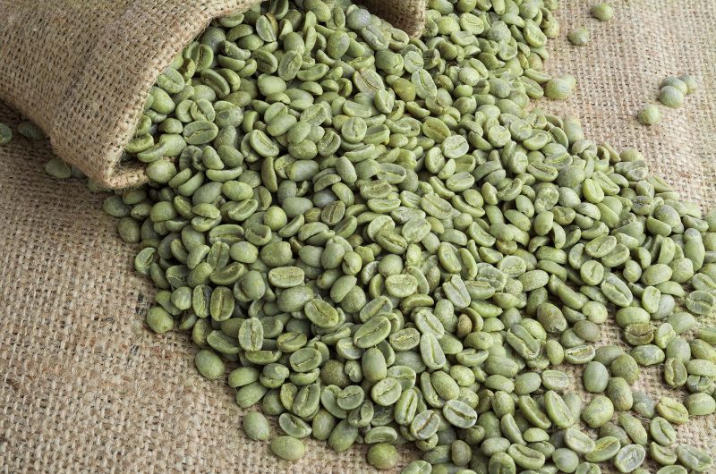 Kawa z Indonezji – tylko robusta i kopi luwak?