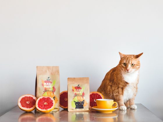 espresso miesiąca marzec magic pussy