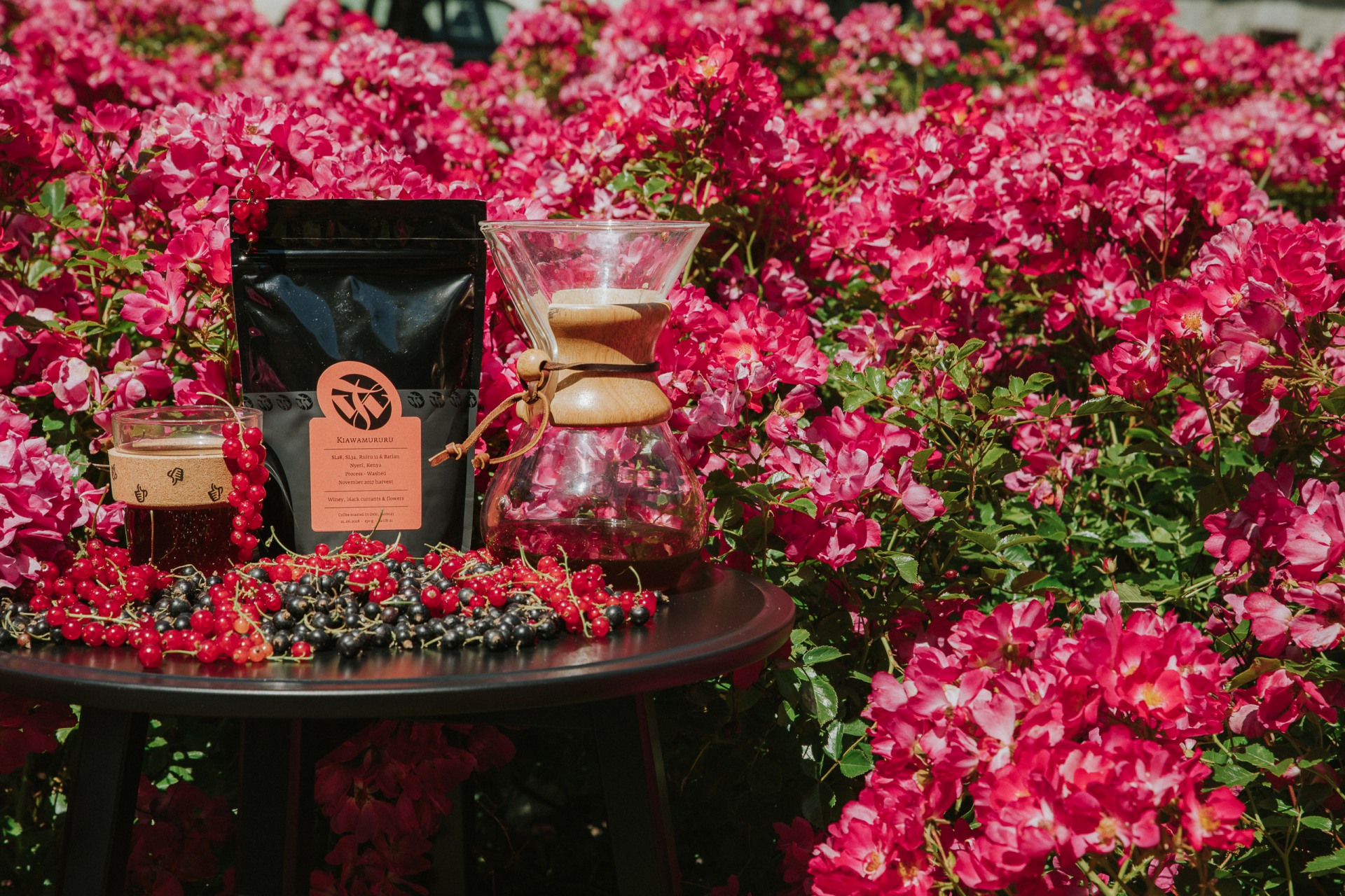 przelew miesiąca tim wendelboe