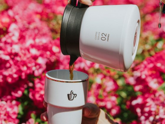 hario insulated server