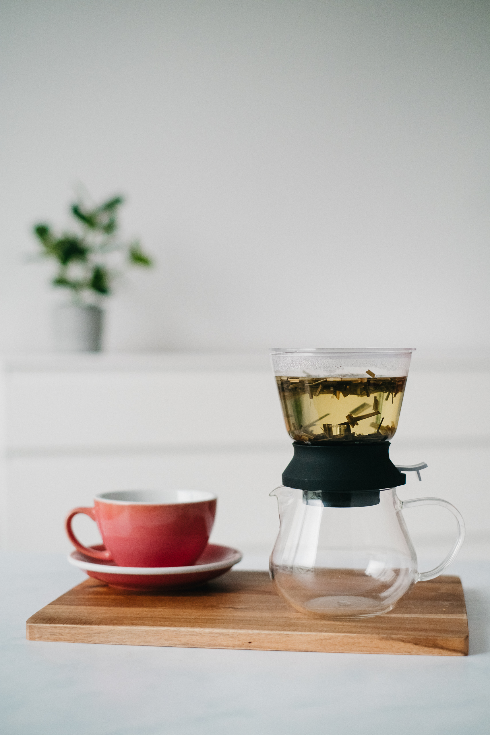 hario zaparzacz do herbaty z filiżanką loveramics