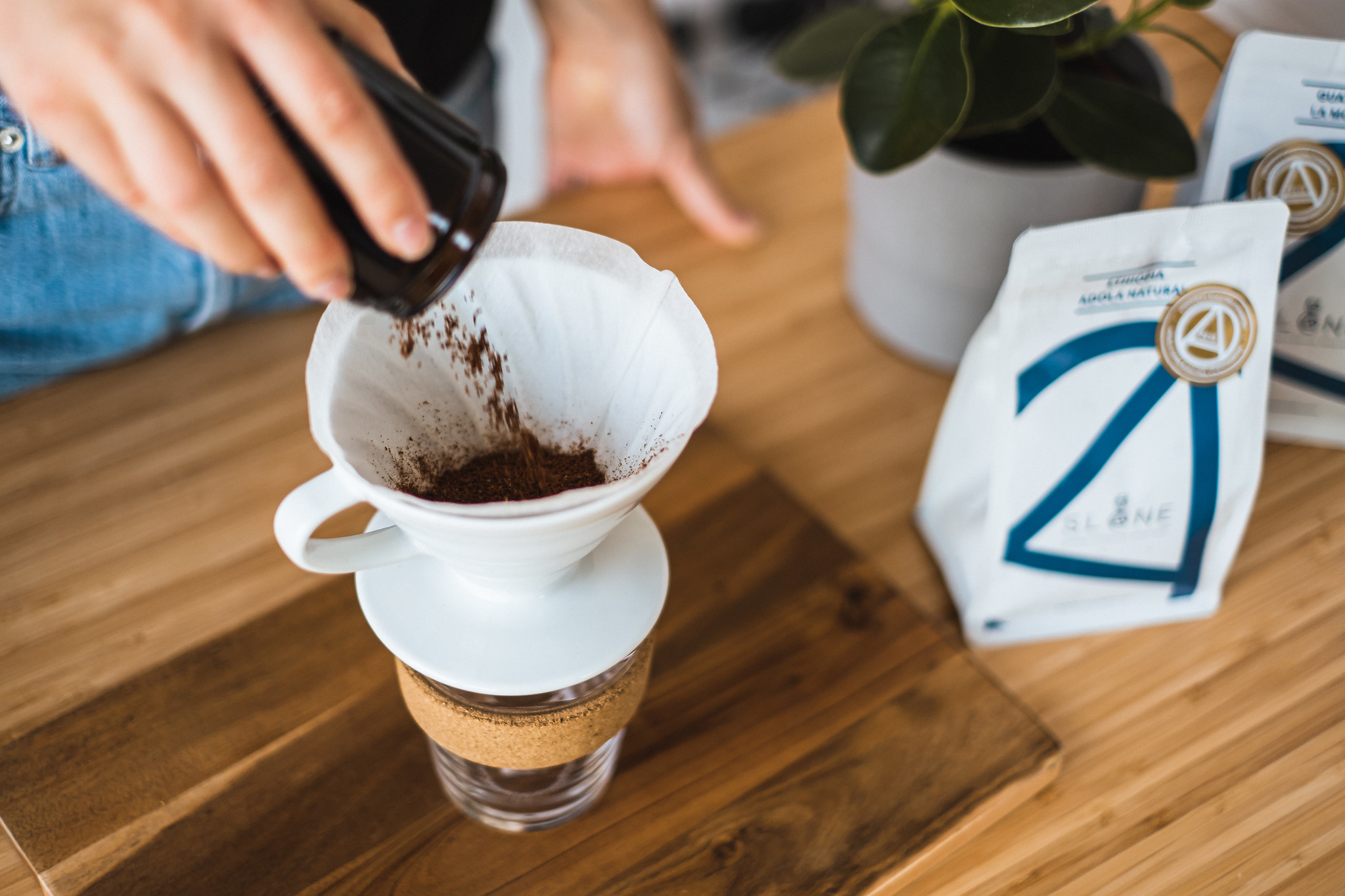 Parzenie kawy Sloane - test smaku