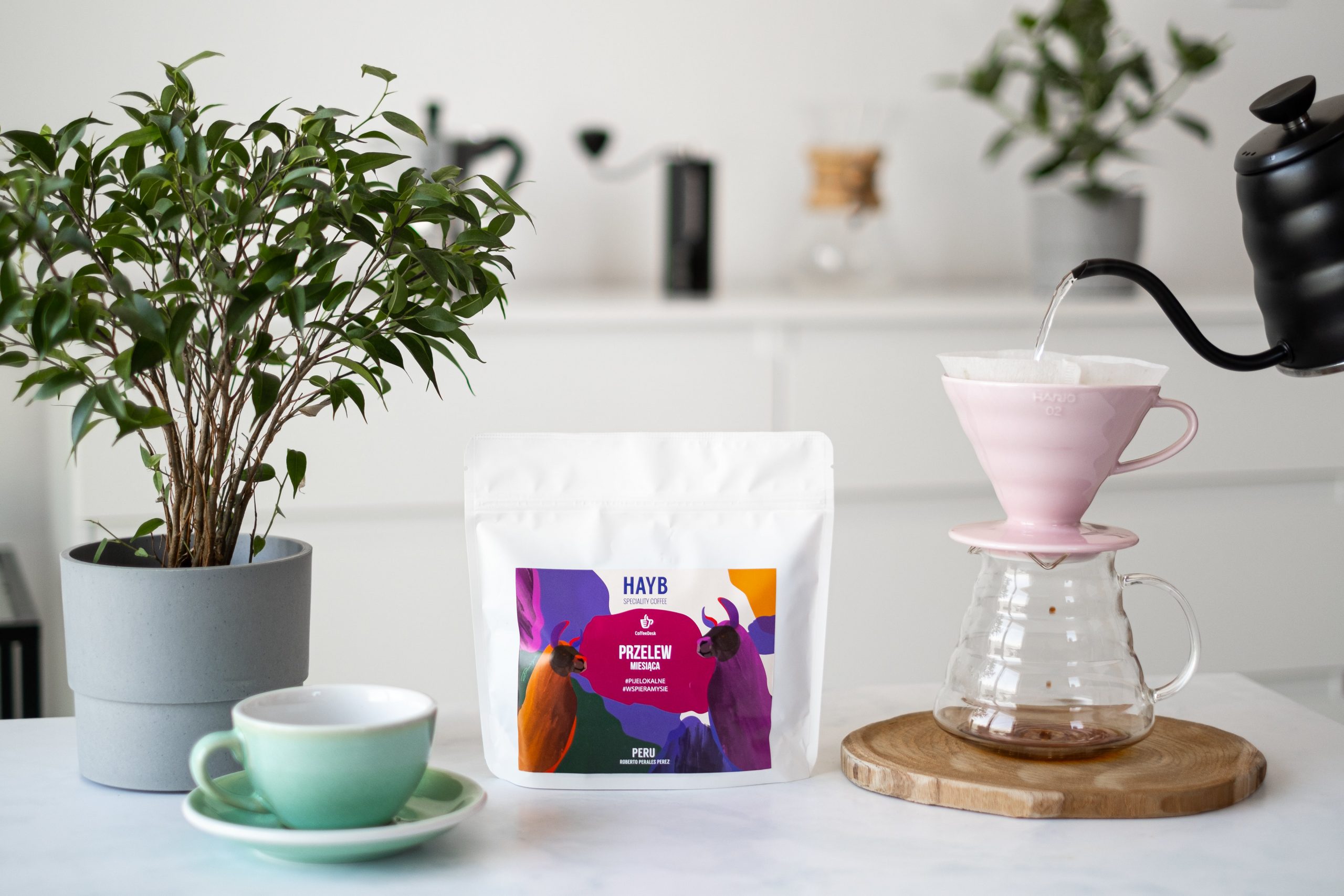 Hayb, przelew miesiaca Hario