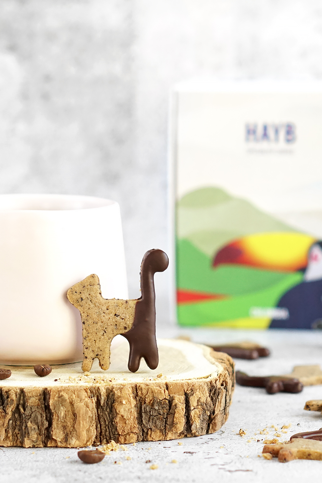 ciasteczka kawowe z czekoladą w kształcie kotów