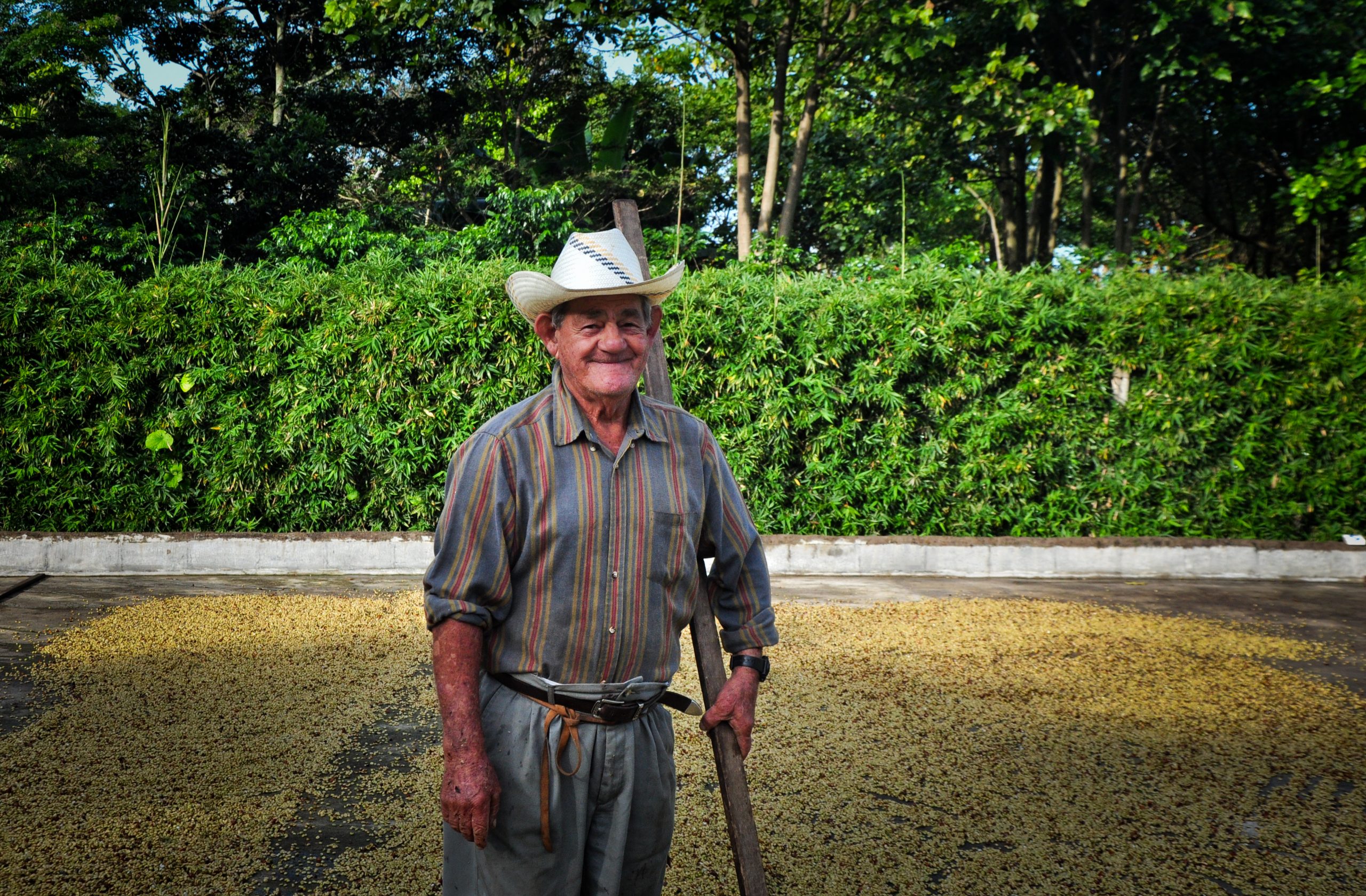 farma Kostaryka Hacienda Sonora