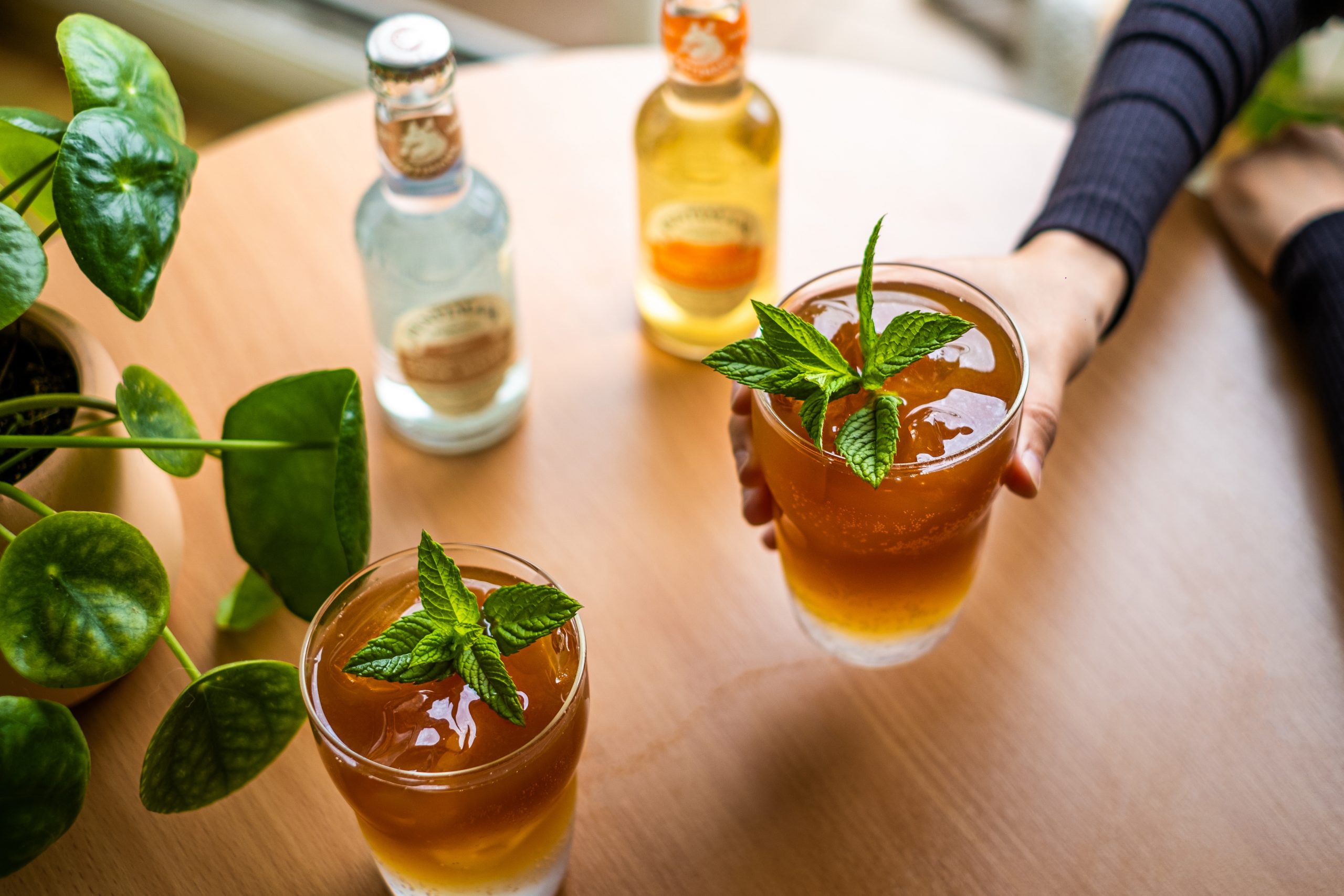 espresso tonic z dodatkiem świeżej mięty