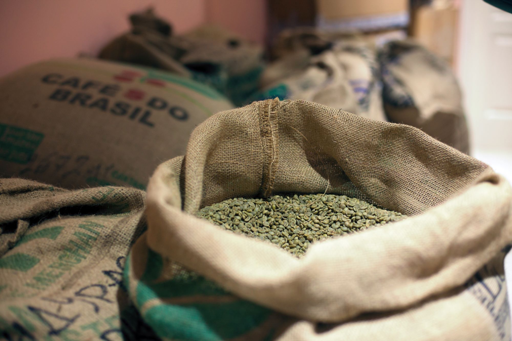 zielone ziarno kawy w workach