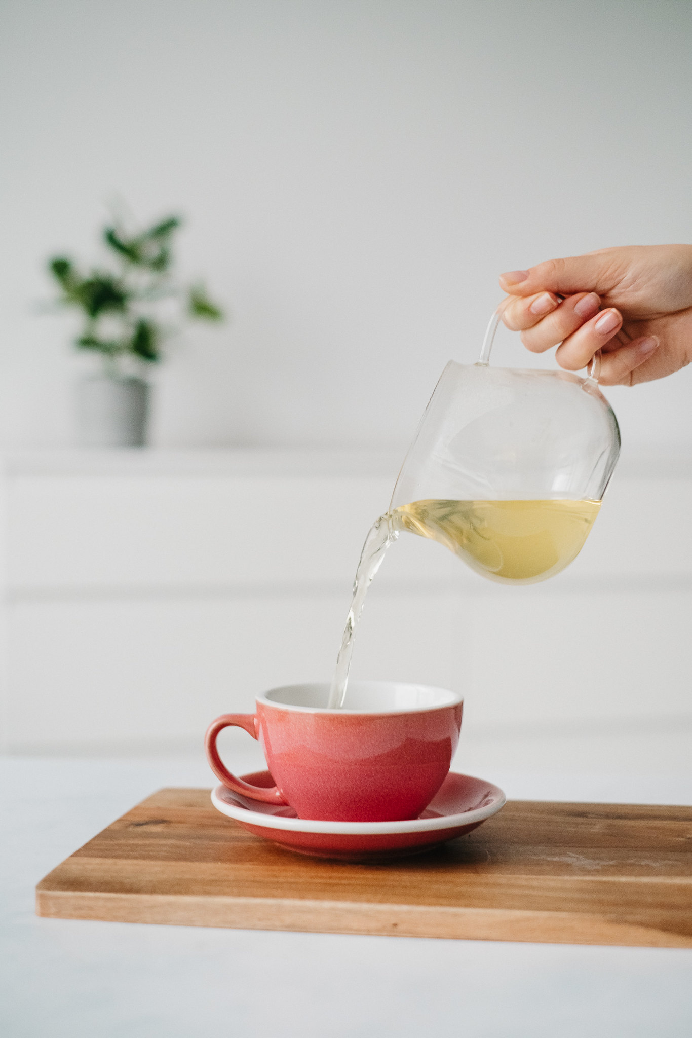 zielona herbata nalewana do filiżanki