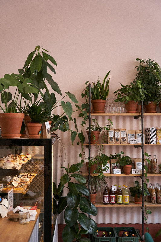 Kawiarnia w Szczecinie