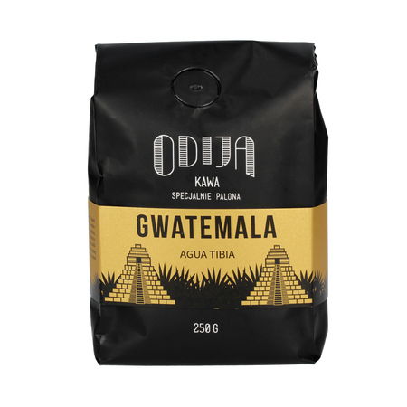 Odija - Gwatemala Agua Tibia Geisha Filter