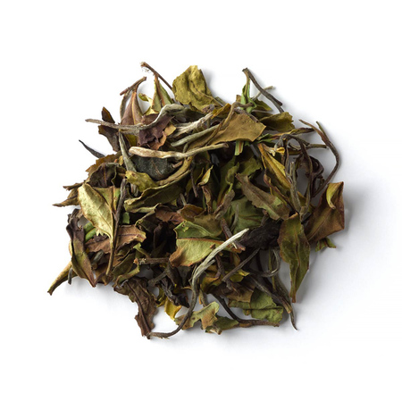 Brown House & Tea - White Peony - Herbata sypana 30g